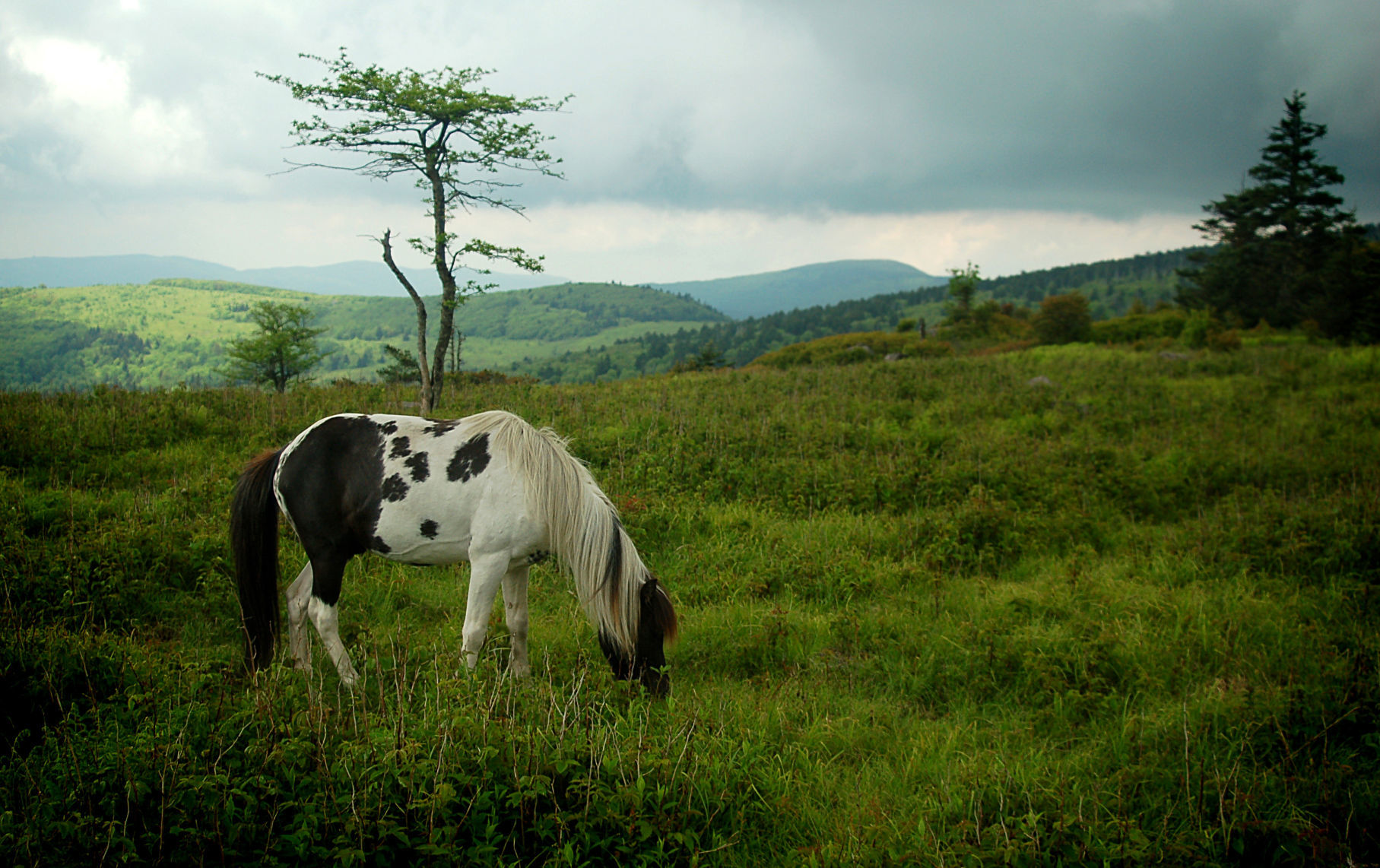 Grayson Highlands State Park